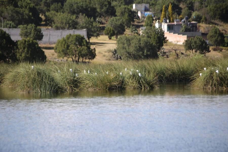La presa "El Ojito" en Apizaquito