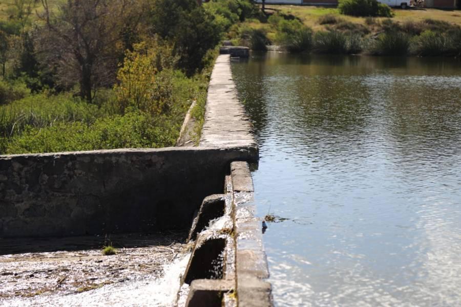 La presa "El Ojito" en Apizaquito
