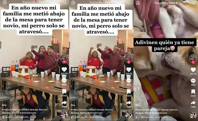 Afortunado perro consigue el amor luego de que su dueña realizará un ritual para encontrar novio 