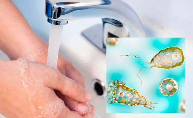 El cerebro de un hombre es devorado por una ameba luego de lavarse su cara con agua de la llave