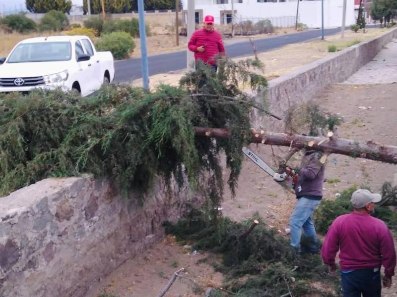 Atiende oportunamente protección civil y seguridad de Huamantla afectaciones por fuertes vientos