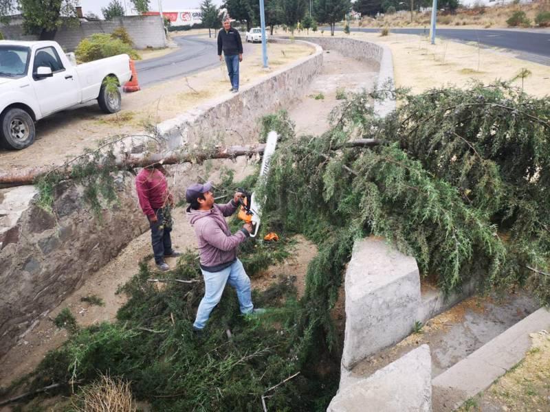 Atiende oportunamente protección civil y seguridad de Huamantla afectaciones por fuertes vientos