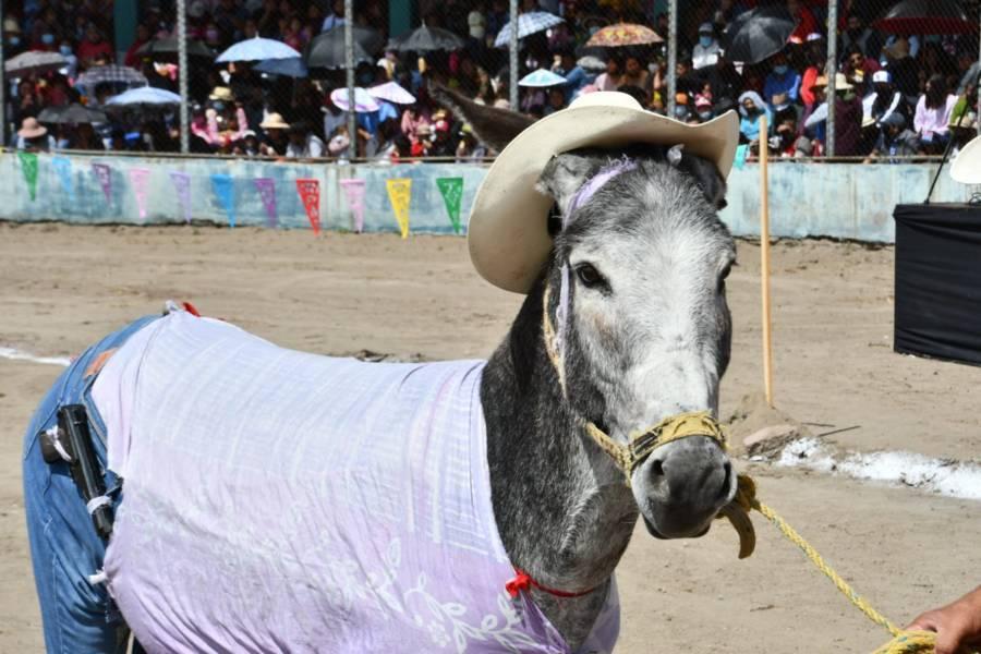 Arranca con gran emoción la Feria de Huamantla con el “Festival de los Burros”
