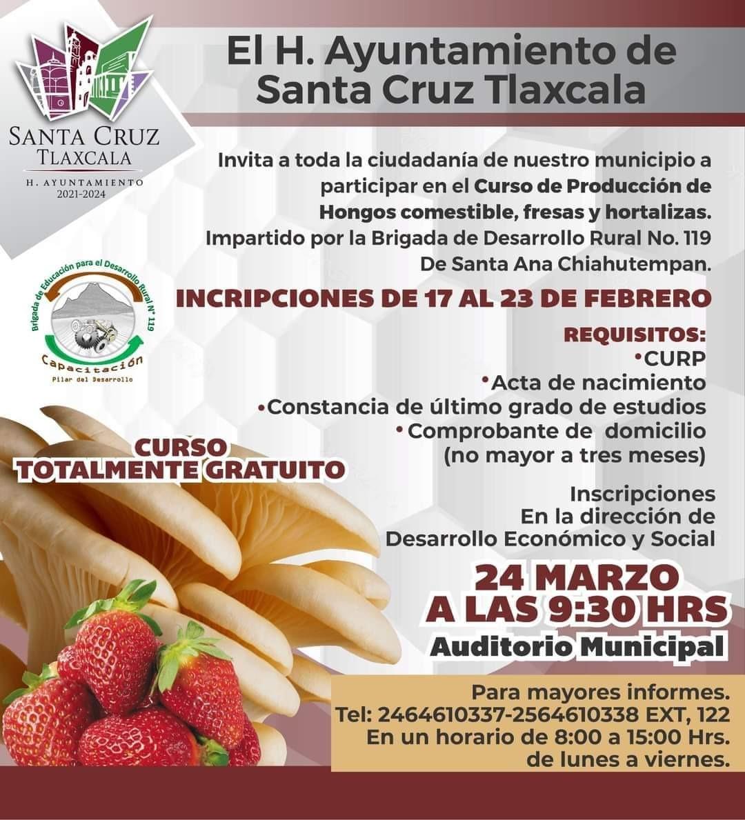 En Santa Cruz Tlaxcala, se impartirá curso de producción de hongos, fresas y hortalizas