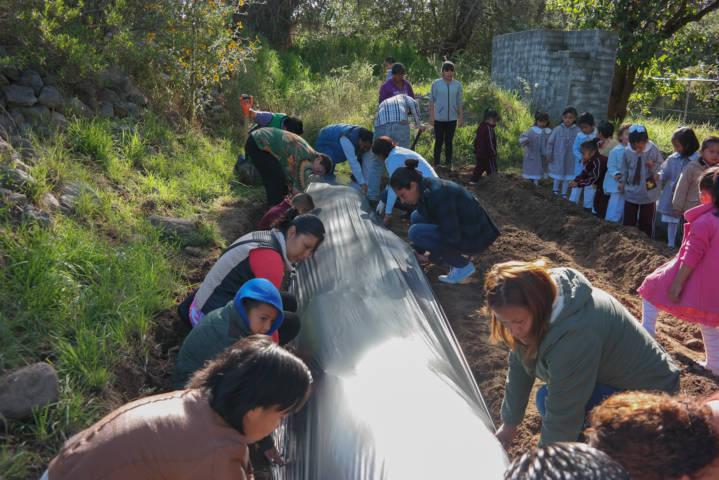 Inauguran 1er Huerto Escolar Ecológico en Amaxac