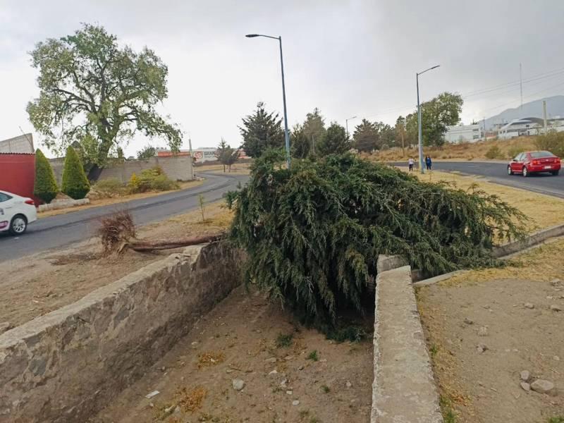 Atiende oportunamente protección civil y seguridad de Huamantla afectaciones por fuertes vientos