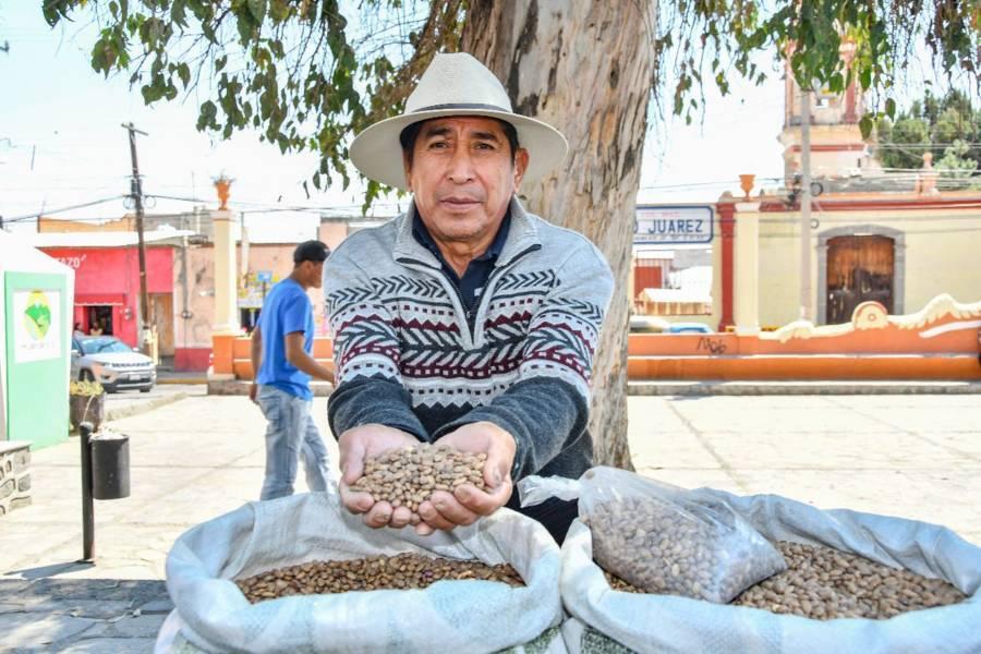 Invita Ayuntamiento de Huamantla a productores a participar en el tianguis de semillas