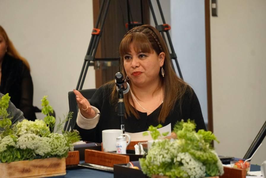 Preocupa a la legisladora Gabriela Esperanza Brito Jiménez índices delictivos