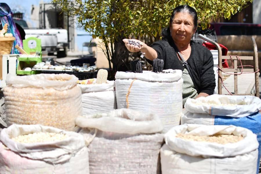 Invita Ayuntamiento de Huamantla a productores a participar en el segundo tianguis de semillas