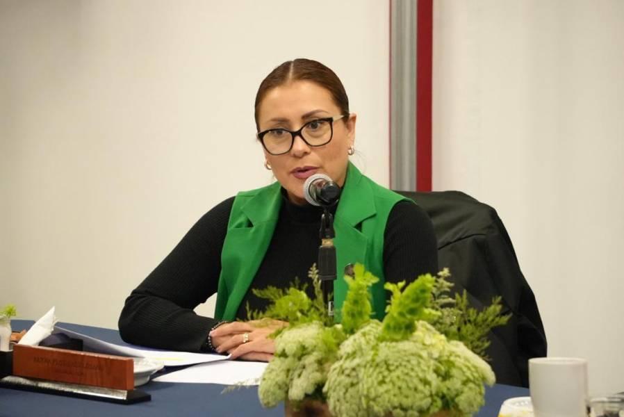 Es necesario fortalecer la difusión de programas de financiamiento: Reyna Flor Báez Lozano