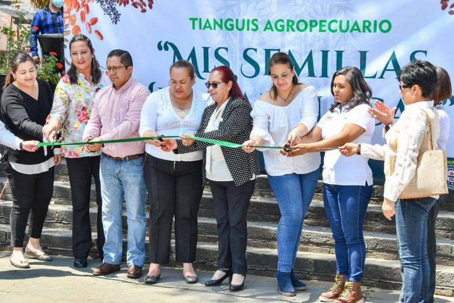 Inauguran segunda edición del tianguis de semillas en Huamantla