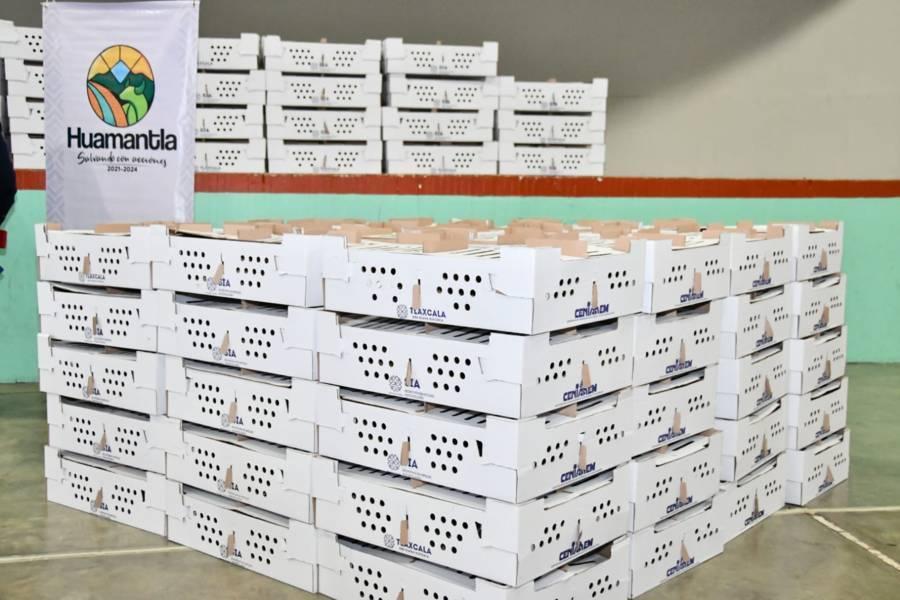 Gestiona coordinación de agricultura 50 paquetes de aves más para familias de Huamantla