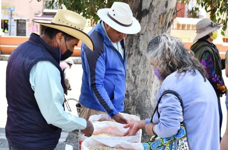 Se benefician productores huamantlecos con el tianguis de semilla