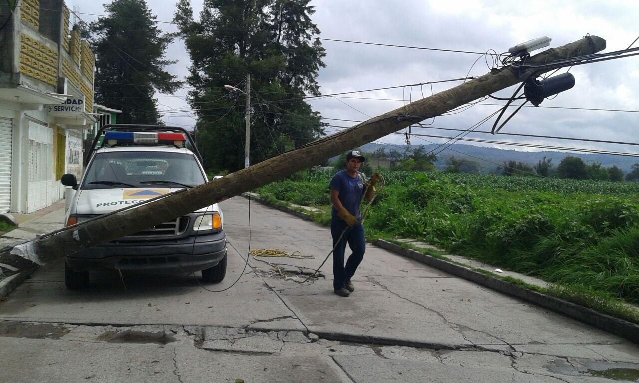 Árbol de más de diez metros, cae sobre carretera en Ixtacuixtla