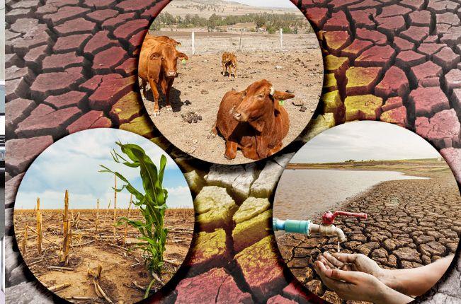 Campesinos exigen declaratoria de Desastre Natural por sequía 