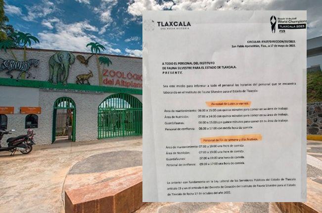 Cacería de brujas en el Zoológico de Tlaxcala
