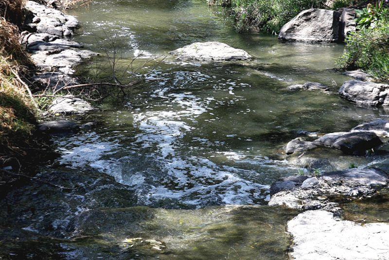 Graves daños a la salud por contaminación del río Zahuapan-Atoyac