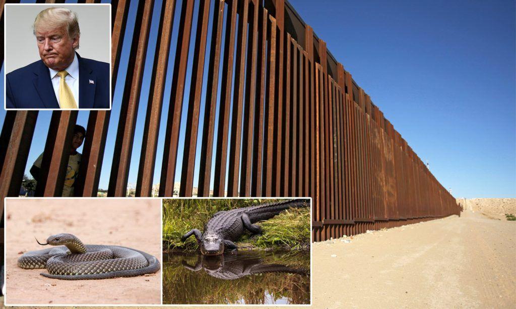 Reforzaré el muro fronterizo con fosa llena de víboras y de cocodrilos: Trump