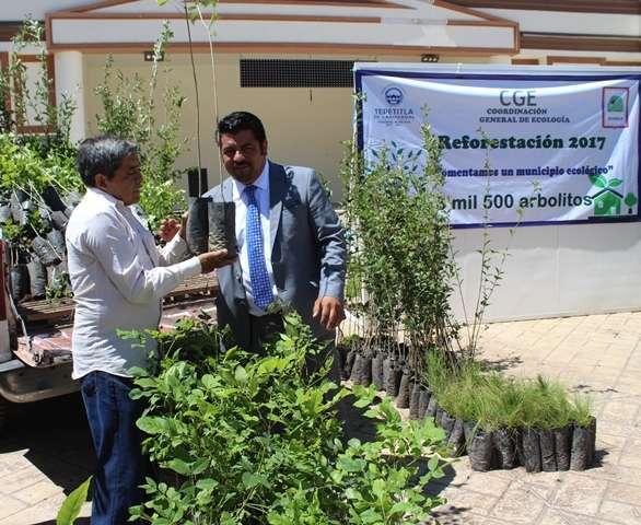 Gobierno Municipal de Lardizábal sembrará 3 mil 500 árboles