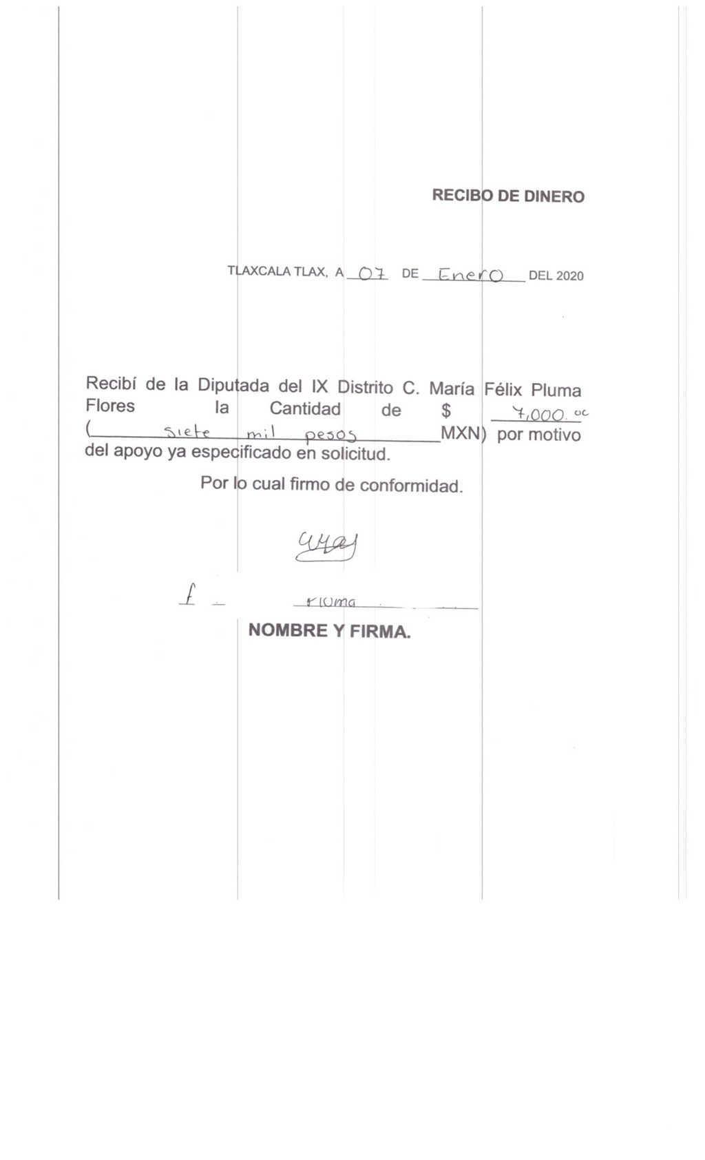 Exhiben recibos de supuestos apoyos que otorgó la ex diputada María Félix Pluma  
