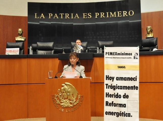 Reforma energética, privatización enmascarada: Lorena Cuéllar