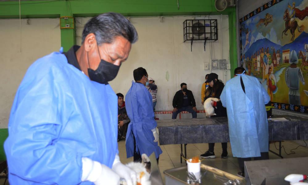 Dueños responsables acuden a campaña de esterilización en Amaxac