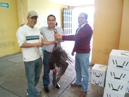 Alcalde mejora alimentación de 20 familias de Amaxac