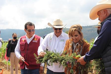 Buscan sembrar 3.9 millones de plantas en Tlaxcala 