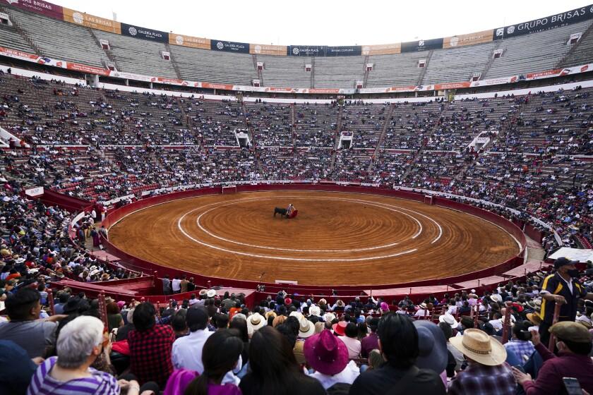 Prohíben corridas toros en la Plaza México por tiempo indefinido