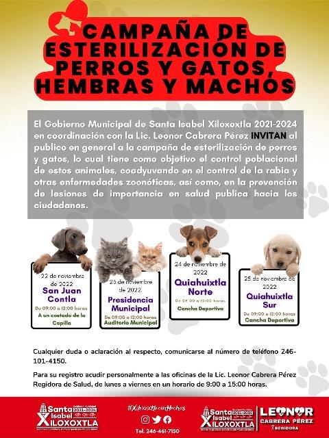 Anuncian campaña de estilización de perros y gatos en Xiloxotla 