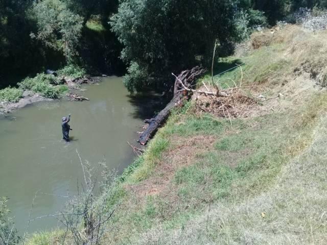 En Texoloc retiran árboles caídos del rio Zahuapan