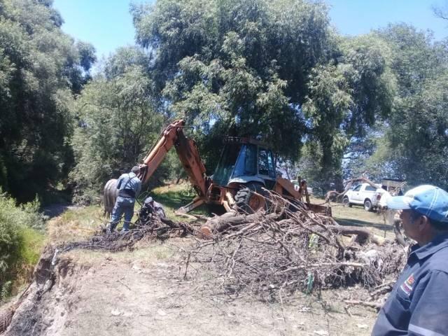 En Texoloc retiran árboles caídos del rio Zahuapan