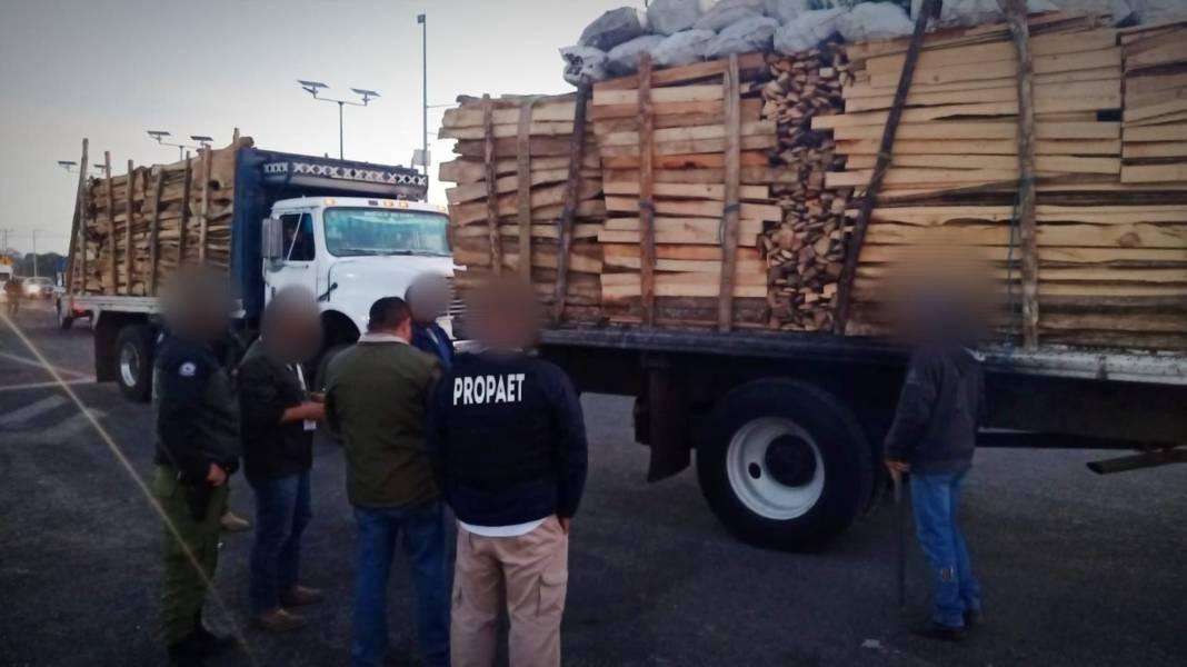 Realizan acciones de inspección y vigilancia contra la tala ilegal en La Malinche