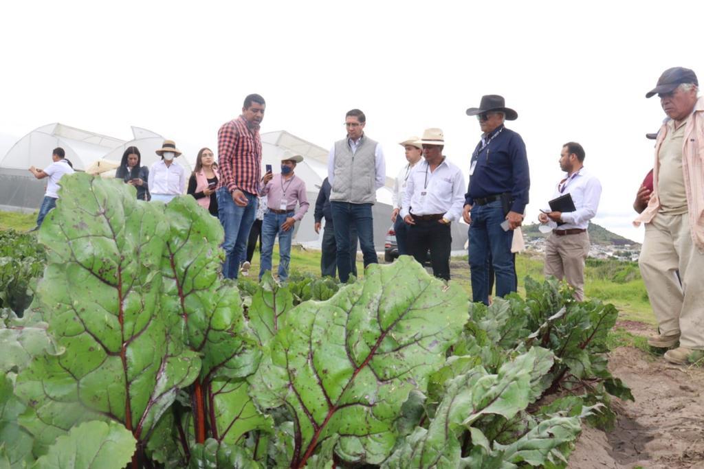 Se logran vínculos entre La Morena, Gobierno y productores de Lázaro Cárdenas