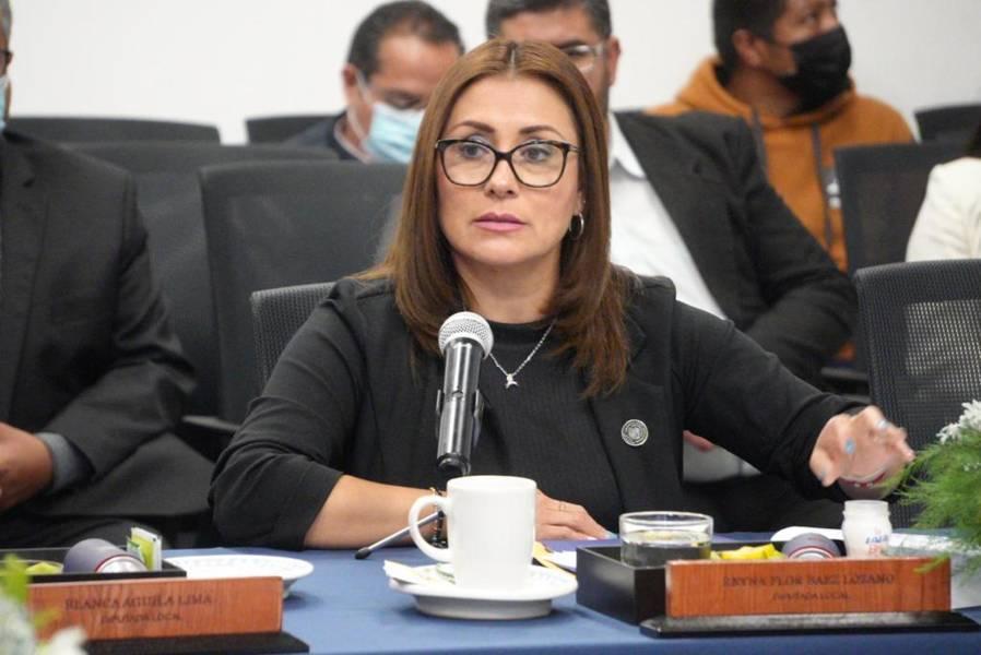  Se deben eficientar las estrategias en materia de género: diputada Reyna Flor Báez lozano