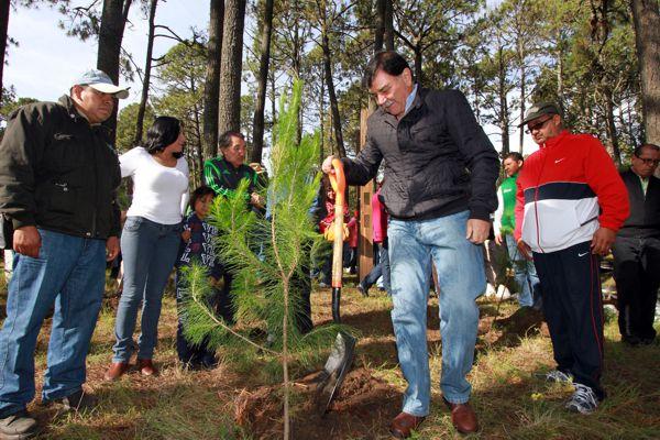 Arranca programa de empleo temporal y reforestación en Tlaxcala