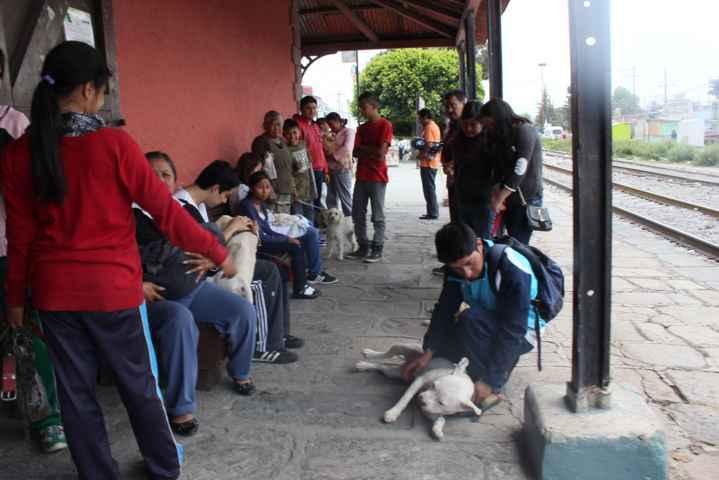 Inicia campaña de esterilización de mascotas en Chiautempan