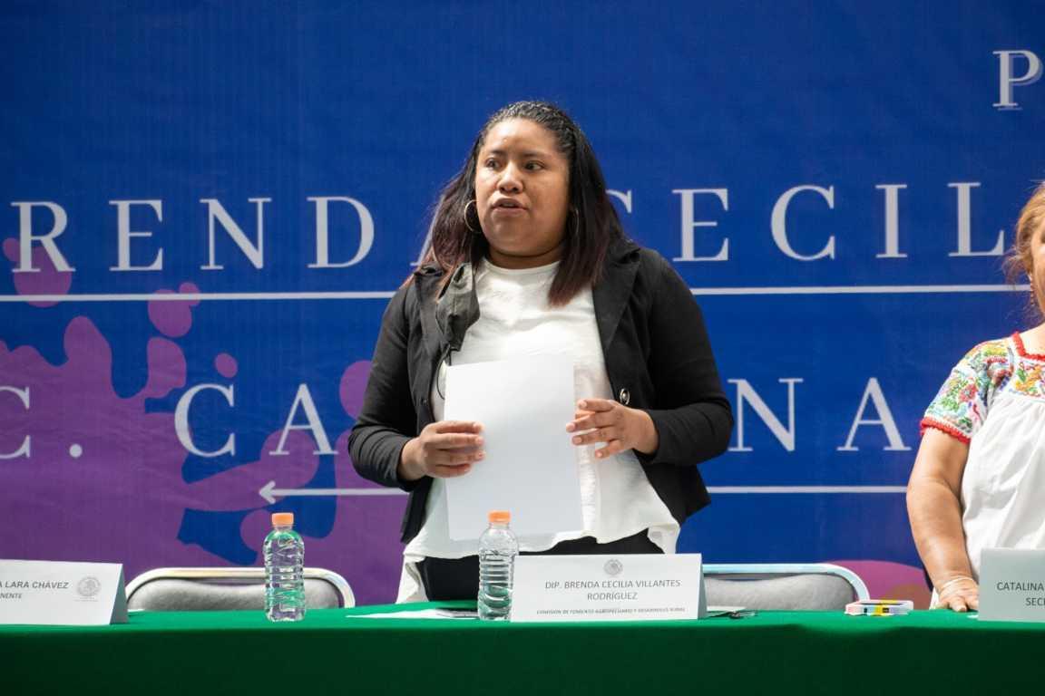 Autoridades deben garantizar el desarrollo integral e inclusivo de las mujeres: Brenda Cecilia Villantes