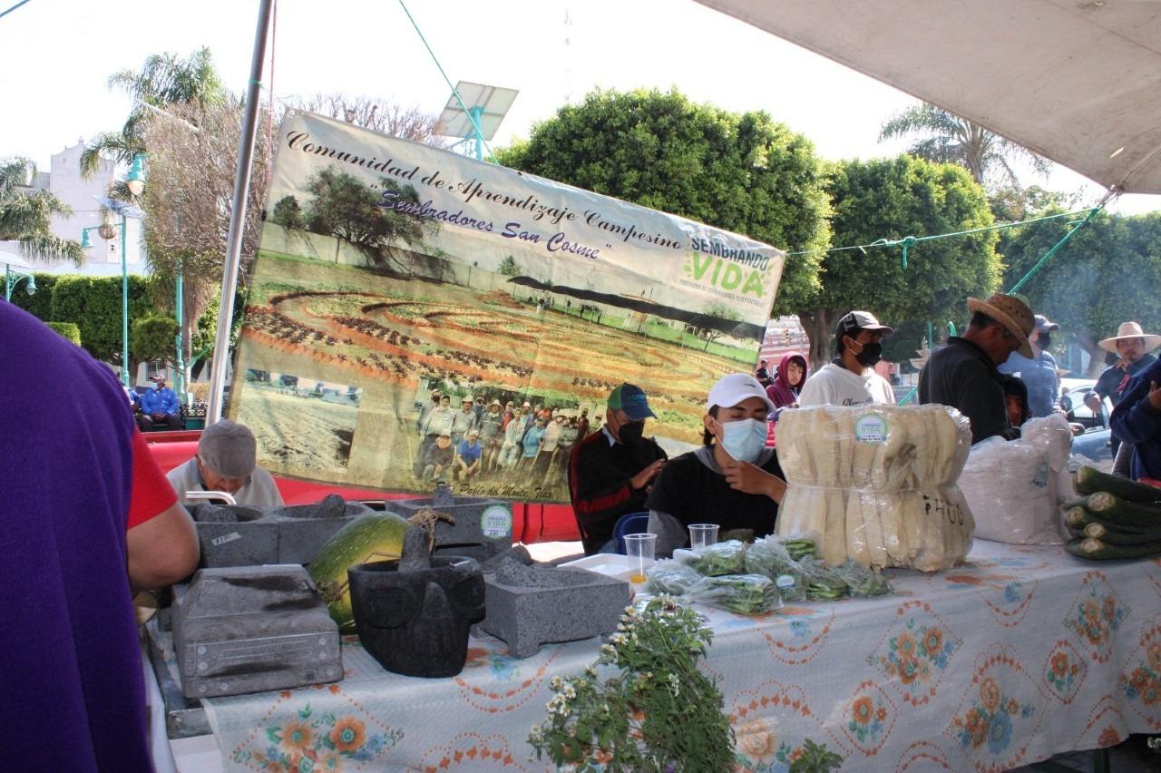 Instalan tianguis campesino en San Pablo del Monte