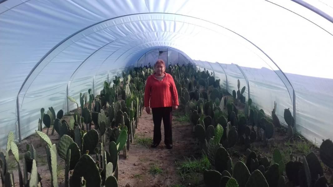 Fortalece SIA el desarrollo rural de Tlaxcala