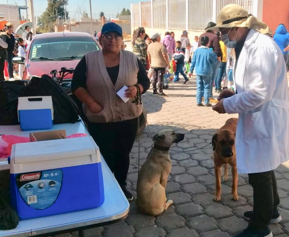 Otorga sector salud de Tlaxcala vacuna antirrábica para perros y gatos