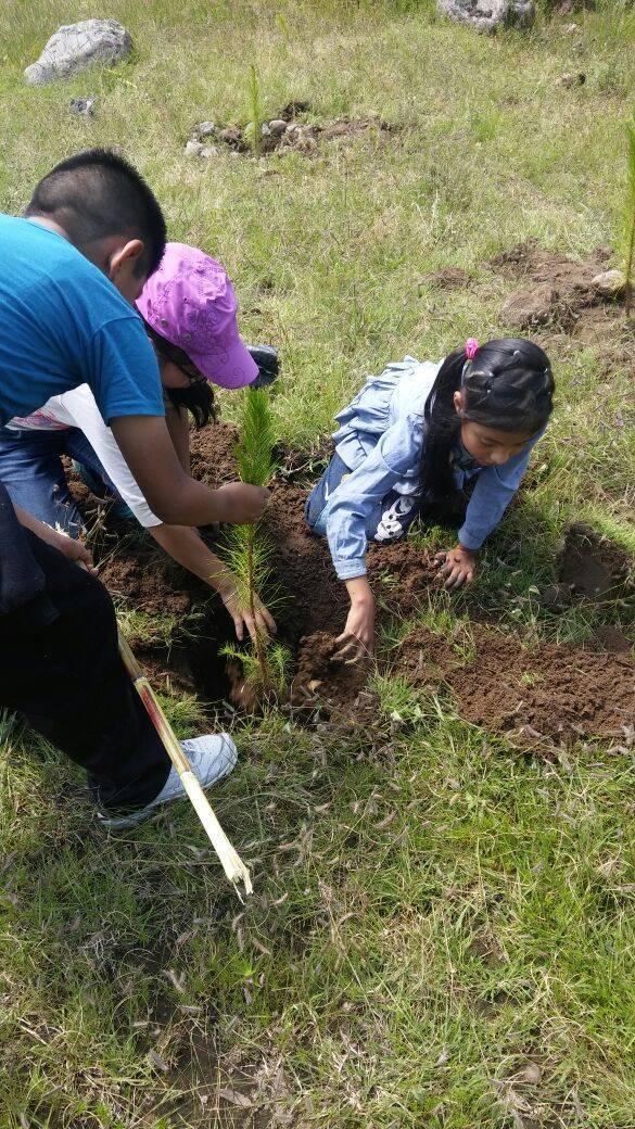 Niños difusores reforestan barranca de Actipan en San Pablo del Monte