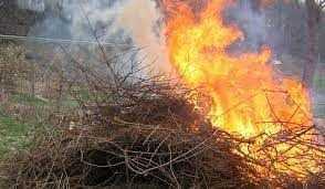 Evitar quemas agrícolas para no dañar la naturaleza, piden en Tecopilco  