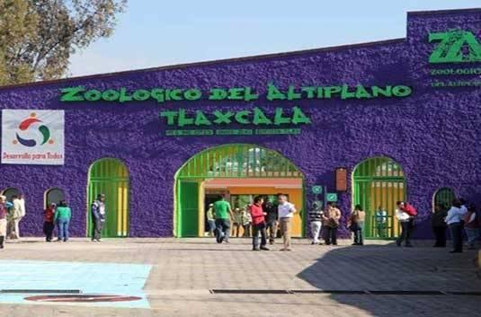 Se roban una guacamaya del Zoológico de Tlaxcala 