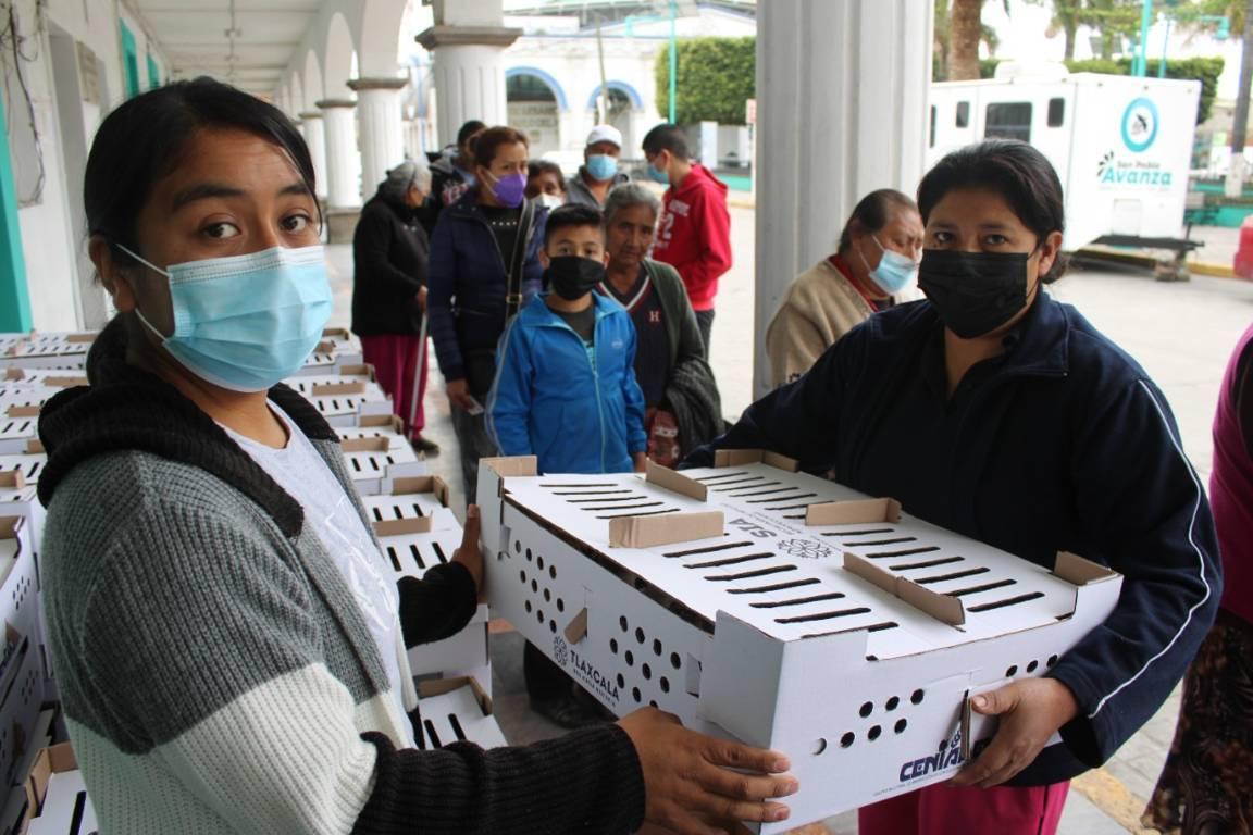 Gobierno de San Pablo del Monte entrega paquetes de gallinas 