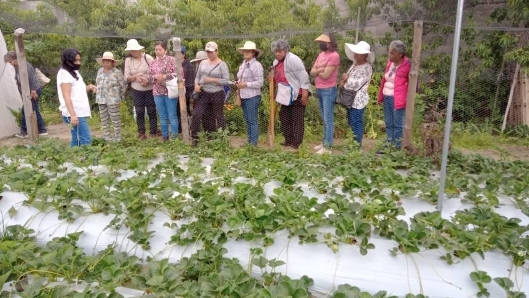 Invaluable, el trabajo de las mujeres rurales en Tlaxcala: SIA