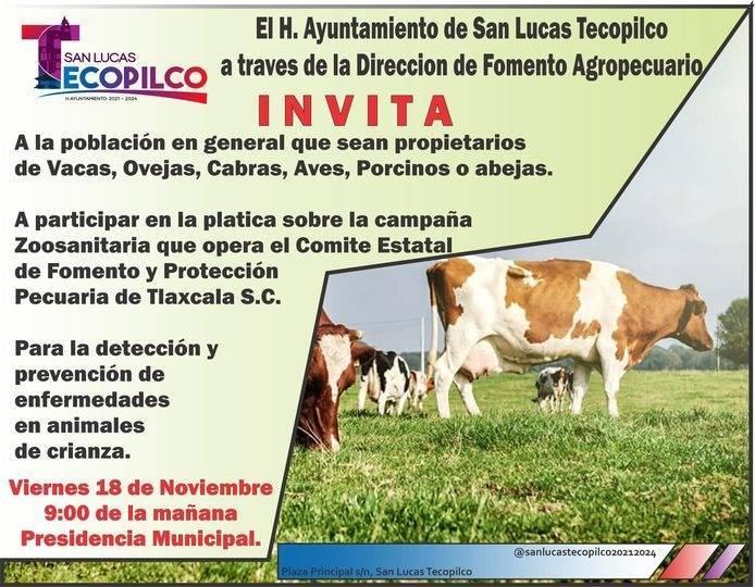 Convocan a una plática de prevención de enfermedades de ganado en Tecopilco 