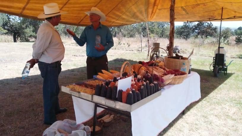 Recibe Tlaxcala a productores de la Ciudad de México en intercambio de experiencias