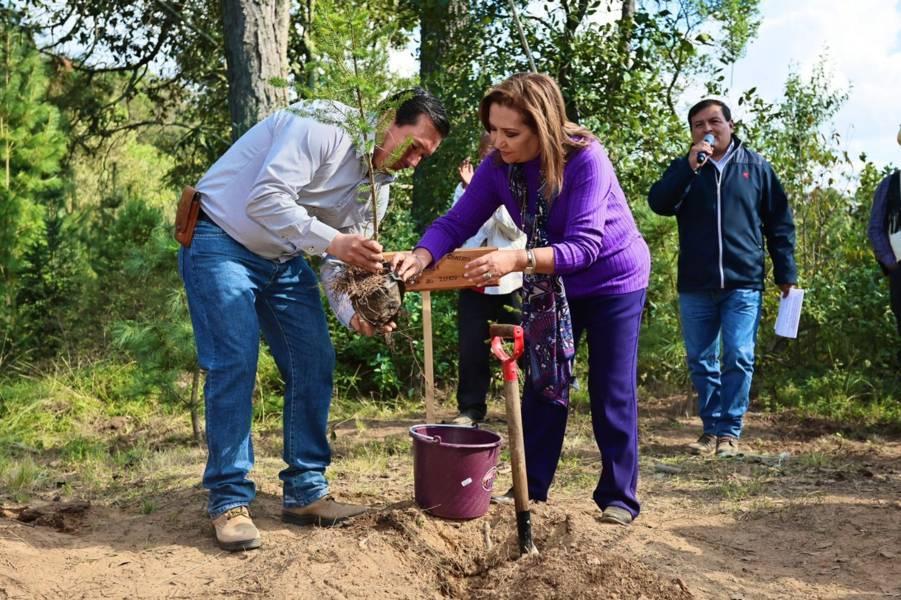 Inauguró Gobernadora Lorena Cuéllar punto de venta "Navitlax" en Tlaxco