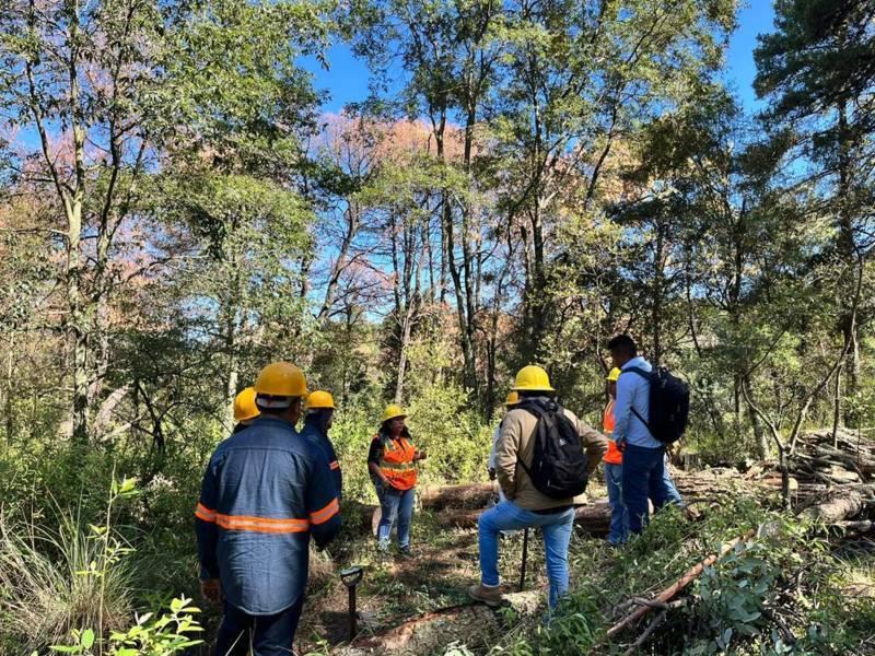 Confirma SMA pago a brigadas comunitarias por saneamiento forestal a La Malinche 
